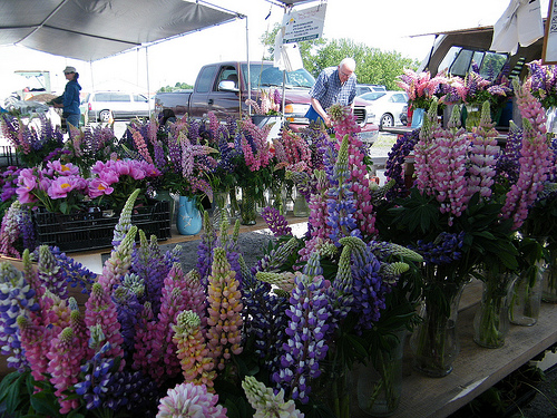 floral market stand
